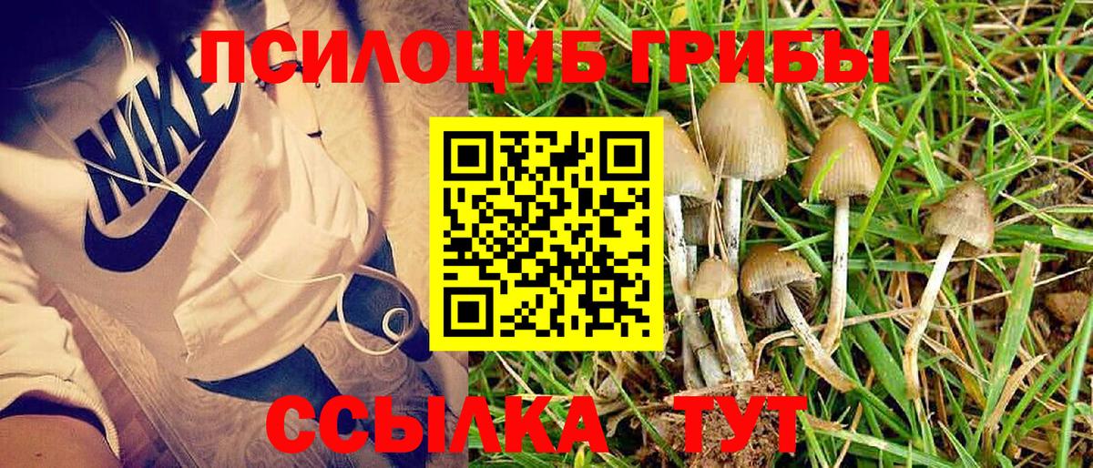 Нарткала  Псилоцибиновые грибы мухоморы  Галлюциногенные грибы ЛСД  купить наркотик  Вход с VPN 