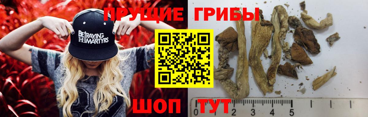 Псилоцибиновые грибы ЛСД Нарткала
